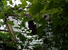 DSCN8113