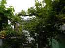 DSCN8114