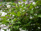 DSCN8116