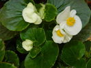 DSCN8134