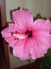 DSC00231