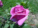 DSC04057