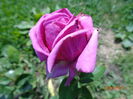 DSC04059