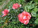 DSC04048