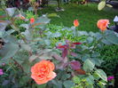 IMGP8051