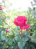 IMGP8057