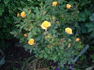 IMGP8059