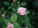 IMGP8069