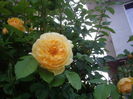 IMGP8085