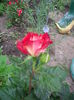 IMGP8143