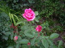 IMGP8149