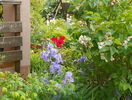 27 mai 079
