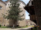 DSCN2172