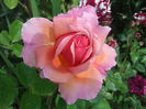 20150526_090735