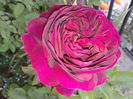 20150524_174900