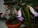 DSC01426