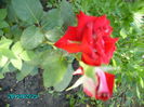 PICT2092