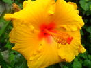 SAM_5432