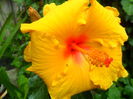 SAM_5433