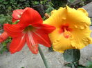 SAM_5425