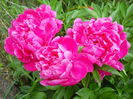 DSCN7282