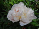DSCN7315