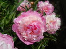 DSCN7319