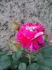 20150527_154924