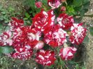 20150527_160740