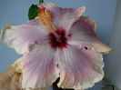 DSC07717