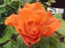 P5260304