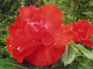 P5260337