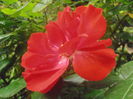 P5260338