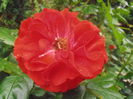 P5260344