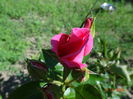 DSC09402