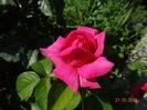 DSC09406