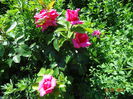 DSC09407