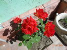 DSC09408