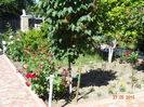 DSC09411