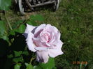 DSC09415