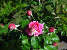 DSC09418