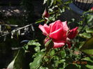 DSC09425