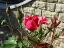DSC09426