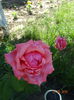 DSC09431