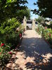 DSC09434