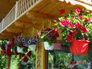DSC09436