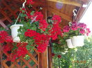 DSC09439