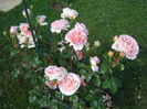 Abraham Darby