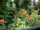 SAM_7163
