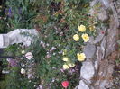 DSCN1917